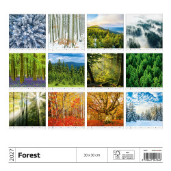 Falinaptár képes 300 x 300 mm, fehér lapokkal Forest Dayliner 2027. Falinaptár Dayliner
