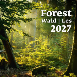 Falinaptár képes 300 x 300 mm, fehér lapokkal Forest Dayliner 2027. Falinaptár Dayliner
