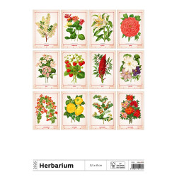 Falinaptár képes 315 x 450 mm, fehér lapokkal Herbarium Dayliner 2027. Falinaptár Dayliner