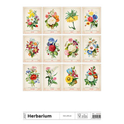 Falinaptár képes 315 x 450 mm, fehér lapokkal Herbarium Dayliner 2027. Falinaptár Dayliner