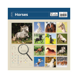 Falinaptár képes 300 x 300 mm, fehér lapokkal Horses Dayliner 2027. Falinaptár Dayliner