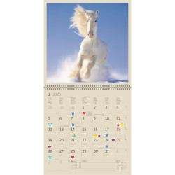 Falinaptár képes 300 x 300 mm, fehér lapokkal Horses Dayliner 2027.