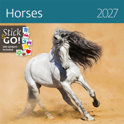 Falinaptár képes 300 x 300 mm, fehér lapokkal Horses Dayliner 2027.