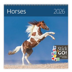 Falinaptár képes 300 x 300 mm, fehér lapokkal Horses Dayliner 2027. Falinaptár Dayliner