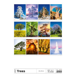 Falinaptár képes 315 x 450 mm, fehér lapokkal Trees Dayliner 2027. Falinaptár Dayliner