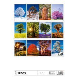 Falinaptár képes 315 x 450 mm, fehér lapokkal Trees Dayliner 2027. Falinaptár Dayliner