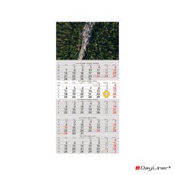 Speditőr naptár 1 tömb, 5 hónap SP-15 330 × 670 mm, fehér lapokkal Erdő Dayliner 2027. Speditőr falinaptár Dayliner