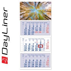 Speditőr naptár 3 tömb, 3 hónap Maxi Club 350 × 820 mm, fehér lapokkal Erdő Dayliner 2026. Speditőr falinaptár Dayliner
