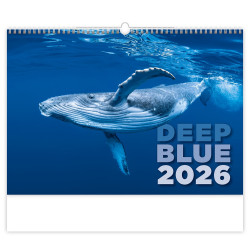 Falinaptár képes 315 × 450 mm Deep Blue Dayliner 2027. Naptár Dayliner
