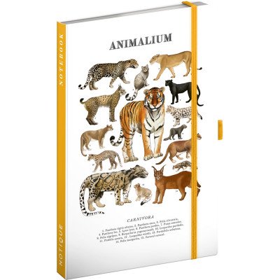 Keménytáblás notesz krémszínű lapokkal, vonalas, leszorító gumiszalaggal Animalium – Felines 130x210mm, Presco