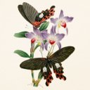 Falinaptár képes lemeznaptár 300x300mm, Butterflies Realsystem 2027.