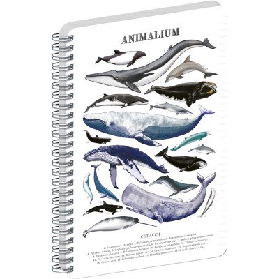 Jegyzetfüzet ikerspirálos Animalium – Marine Life, vonalas, 21x29,7cm A4, Presco