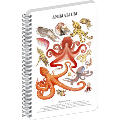 Jegyzetfüzet ikerspirálos Animalium – Cephalopods, vonalas, 21x29,7cm A4, Presco