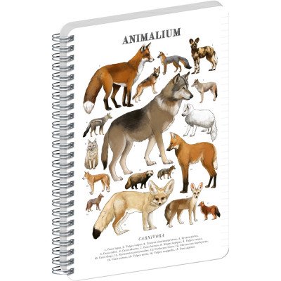 Jegyzetfüzet ikerspirálos Animalium – Canines, vonalas, 14,8x21cm A5, Presco