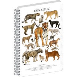 Jegyzetfüzet ikerspirálos Animalium – Felines, négyzethálós, 14,8x21cm A5, Presco Napló Presco