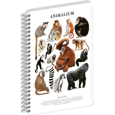 Jegyzetfüzet ikerspirálos Animalium – Primates, négyzethálós, 21x29,7cm A4, Presco