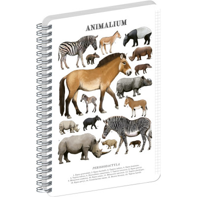 Jegyzetfüzet ikerspirálos Animalium – Perissodactyls, négyzethálós, 21x29,7cm A4, Presco