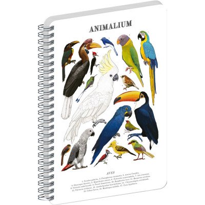 Jegyzetfüzet ikerspirálos Animalium – Birds, sima, 21x29,7cm A4, Presco