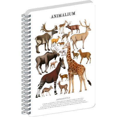 Jegyzetfüzet ikerspirálos Animalium – Artiodactyls, sima, 21x29,7cm A4, Presco