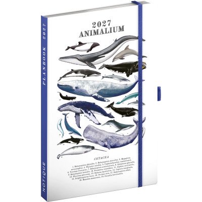 Keménytáblás tervező krémszínű lapokkal, kétheti beosztással, leszorító gumiszalaggal Marine Life 130x210mm, Presco